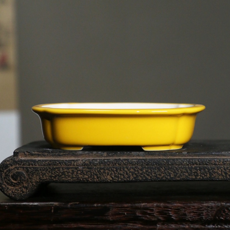 Bonsai Garden China - Porcelain Rectangle Bonsai Pot,Round-angle,Colorful Glazed,Tradition China,Chinese,Table