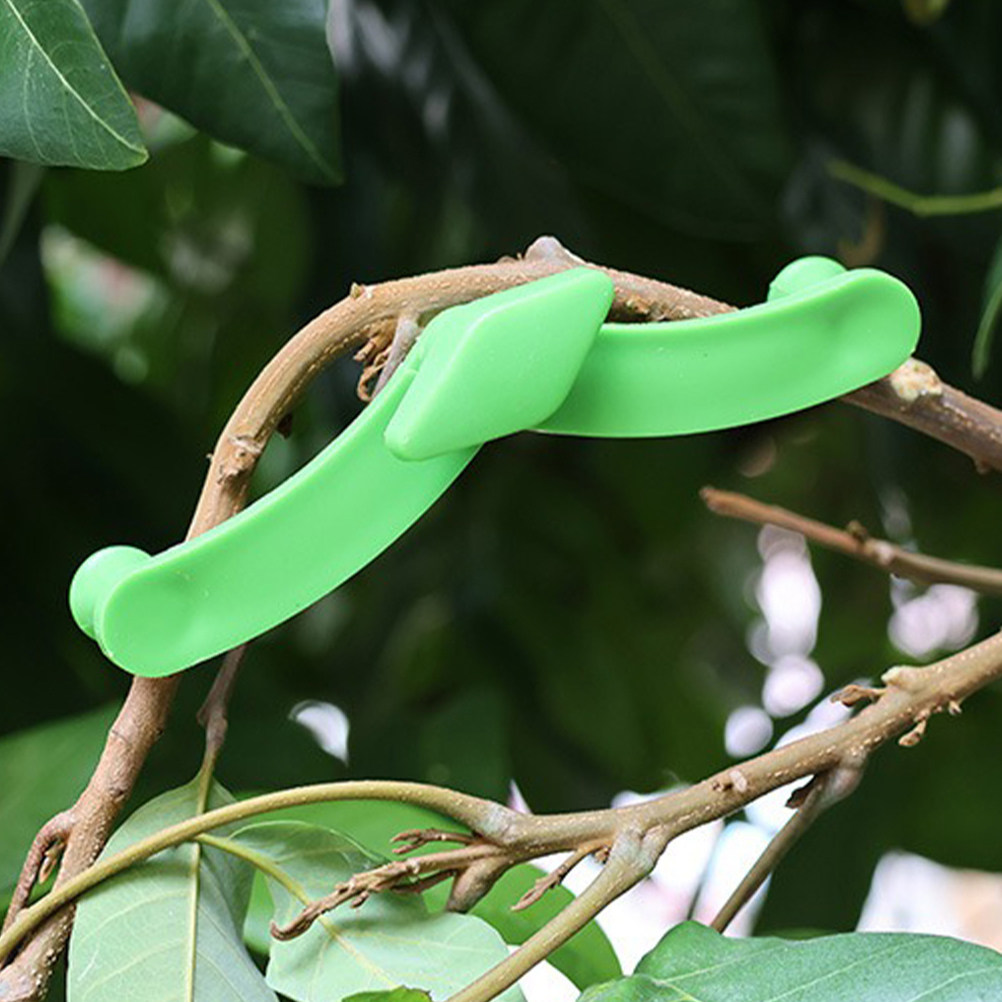 5Pcs Bonsai Branch Stabilizer  - огляд і ціна Bonsai Garden Tools