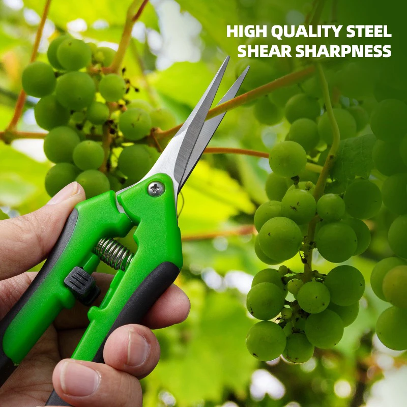 7-Inch Pruner Scissors for Pla - огляд і ціна Bonsai Garden Timings