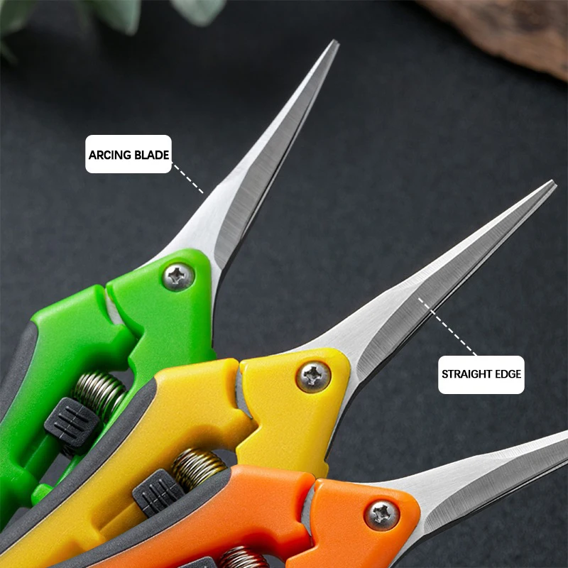 6.5-inch Pruning Scissors for  - огляд і ціна Bonsai Garden Timings