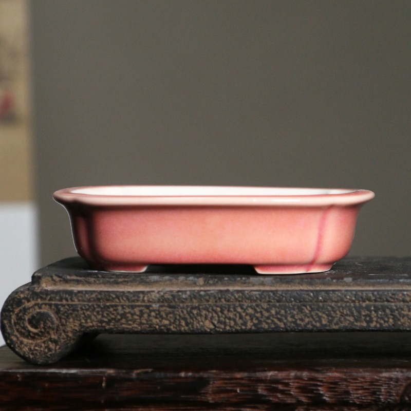 Porcelain Rectangle Bonsai Pot - огляд і ціна Bonsai Garden China