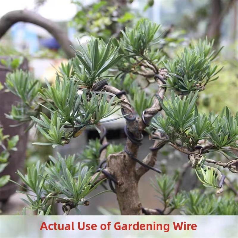 1.5MM Bonsai Wires Aluminum Bo - огляд і ціна Bonsai Garden Tools