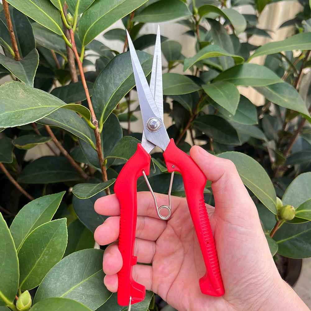 Pro Garden Pruning Shears Leng - огляд і ціна Bonsai Garden Tools