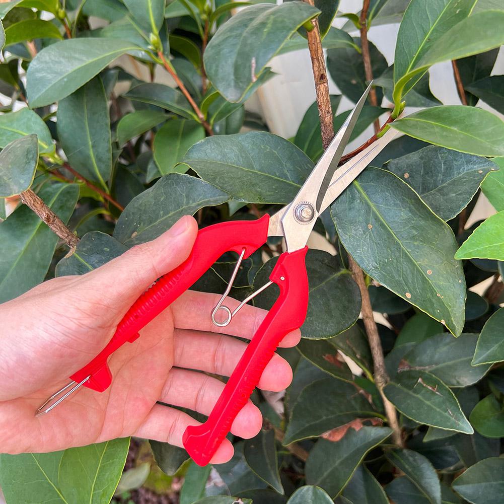 Pro Garden Pruning Shears Leng - огляд і ціна Bonsai Garden Tools
