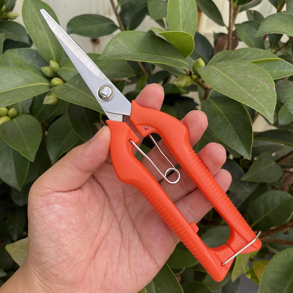 Pro Garden Pruning Shears Leng - огляд і ціна Bonsai Garden Tools