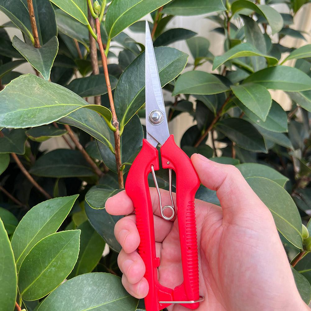 Pro Garden Pruning Shears Leng - огляд і ціна Bonsai Garden Tools