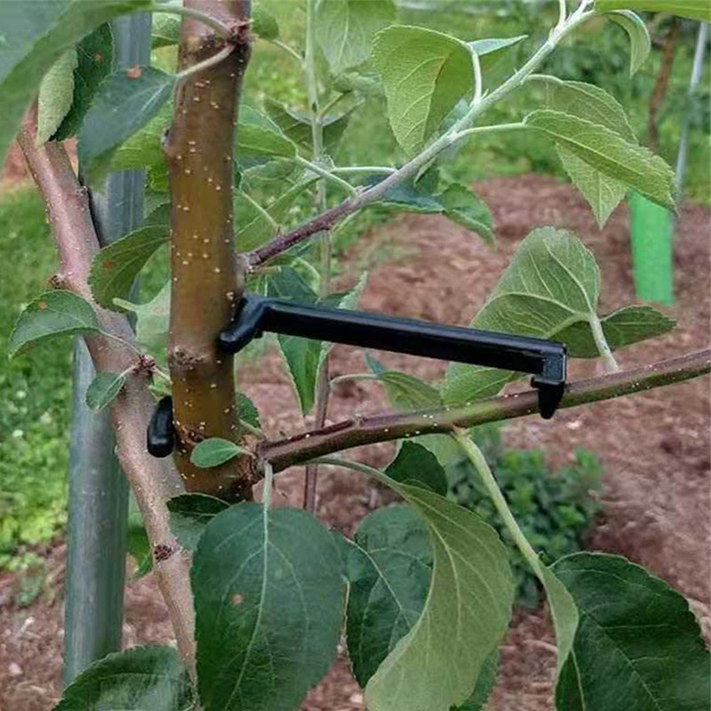 10-30Pcs Fruit Tree Clips Plan - огляд і ціна Bonsai Garden Tools