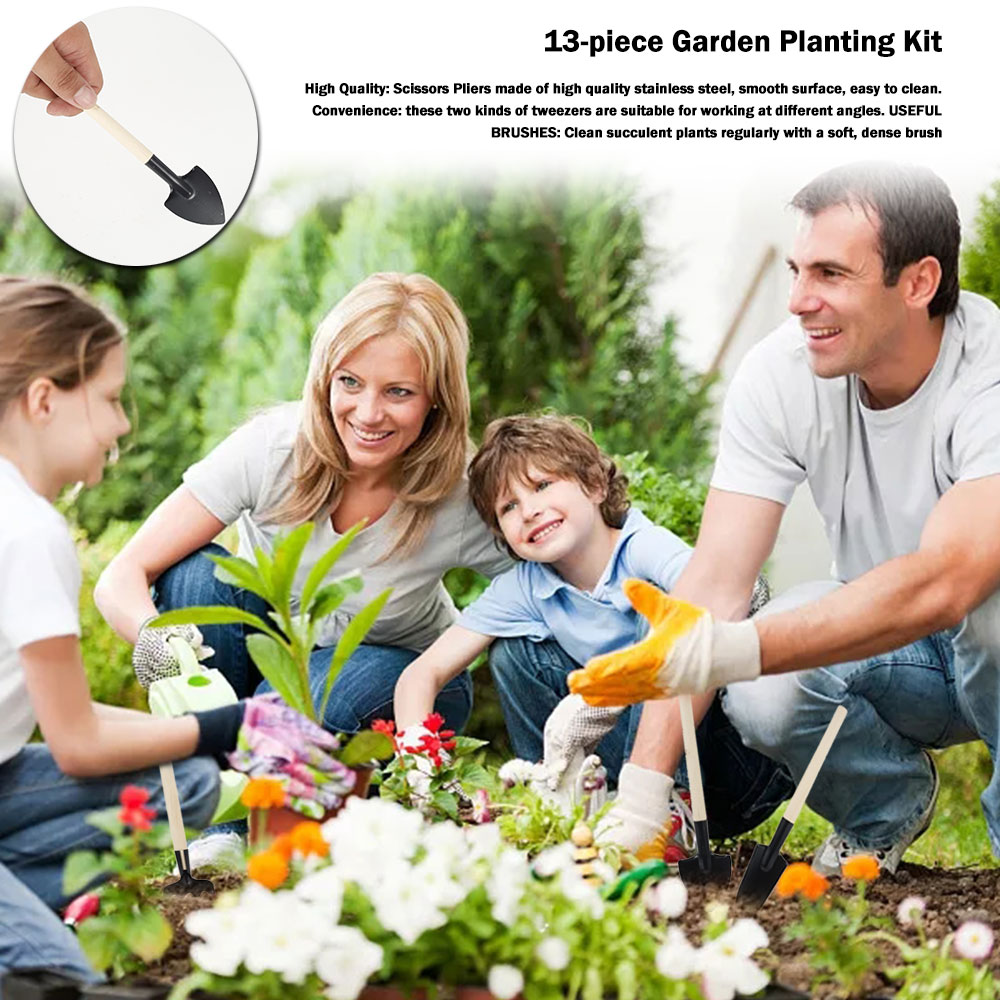 Succulent Plants Tools Mini Ga - огляд і ціна Bonsai Garden Tools