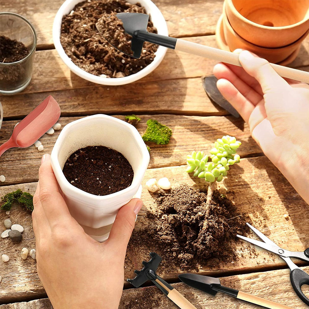Succulent Plants Tools Mini Ga - огляд і ціна Bonsai Garden Tools