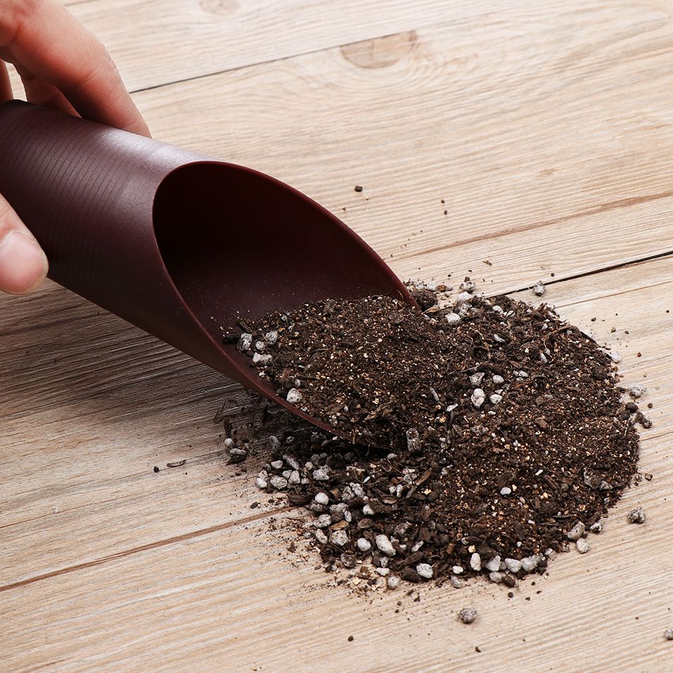 1PC Plastic Soil Shovel Cup Fo - огляд і ціна Bonsai Garden Tools